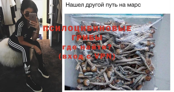 сатива Балабаново