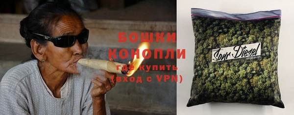 ГАЛЛЮЦИНОГЕННЫЕ ГРИБЫ Аркадак