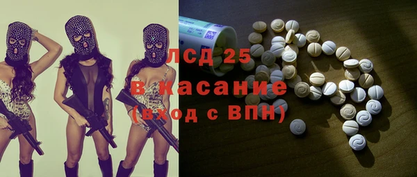 ГАЛЛЮЦИНОГЕННЫЕ ГРИБЫ Аркадак
