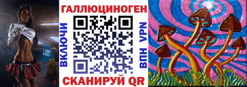 Галлюциногенные грибы Cubensis Красный Кут