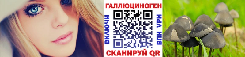 купить наркотики сайты  Красный Кут  площадка телеграм  Галлюциногенные грибы MAGIC MUSHROOMS 